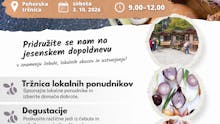 DAN ČEBULE NA POHORSKI TRŽNICI