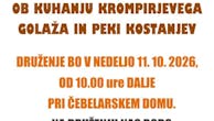 Druženje ob kuhanju krompirjevega golaža in peki kostanjev.