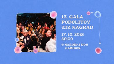 13. Gala podelitev ZIZ nagrad