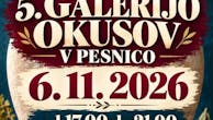 5. GALERIJA OKUSOV V PESNICI