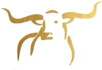 Longhorn Imaging Logo