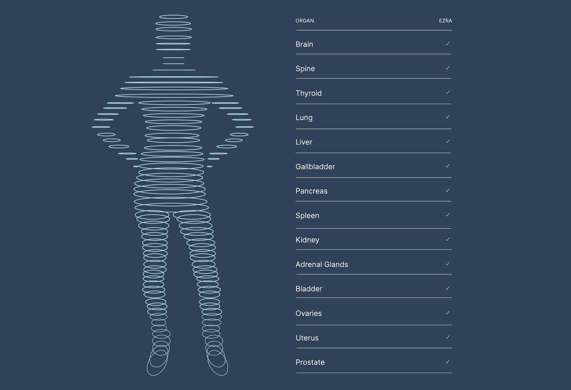 Longhorn Imaging Full Body MRI Scan graphic