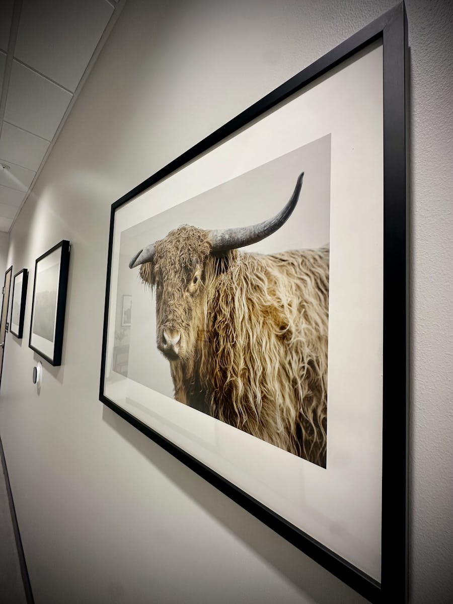 longhorn imaging cedar park