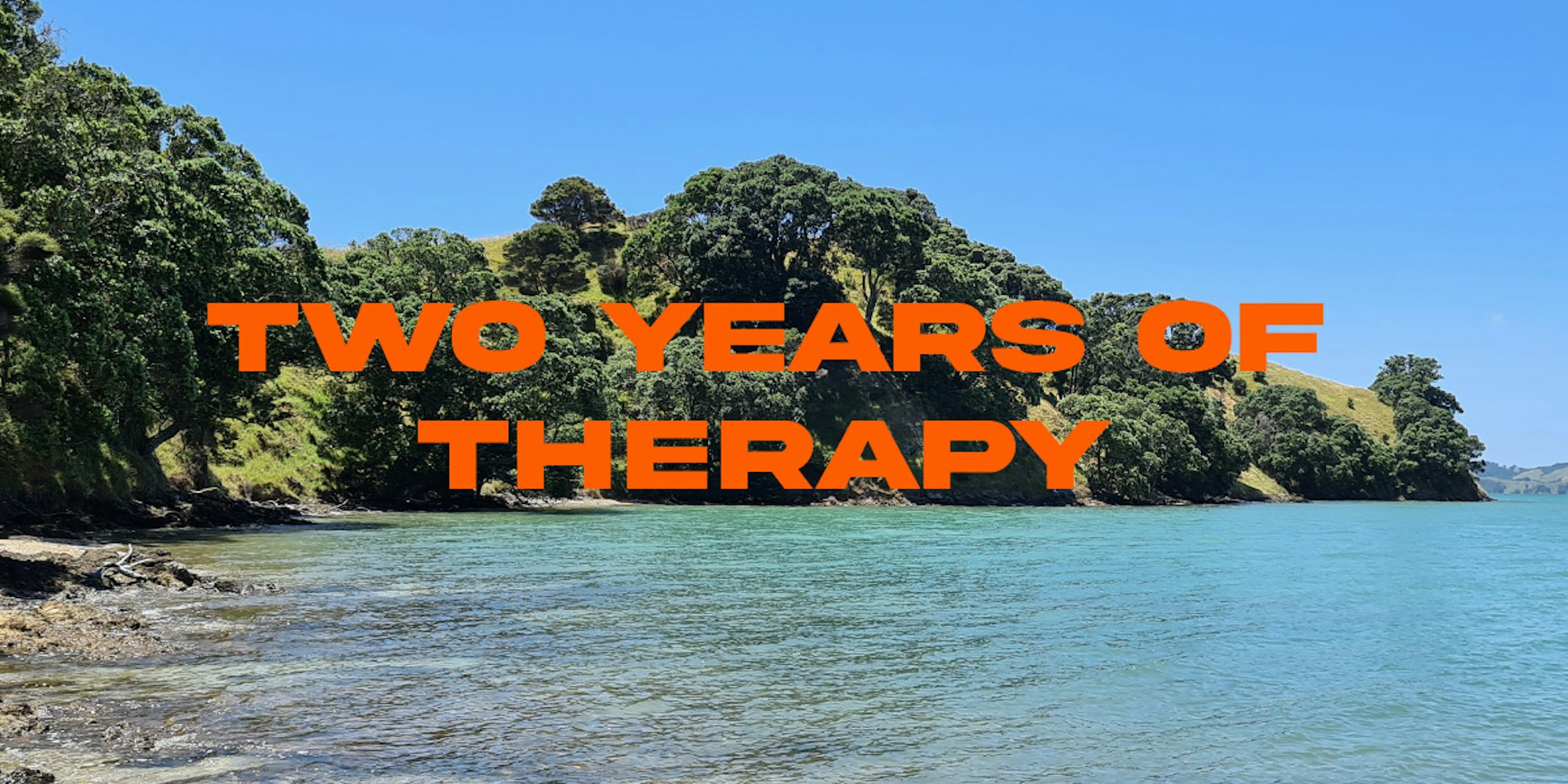 Cover Image for Two years in therapy 