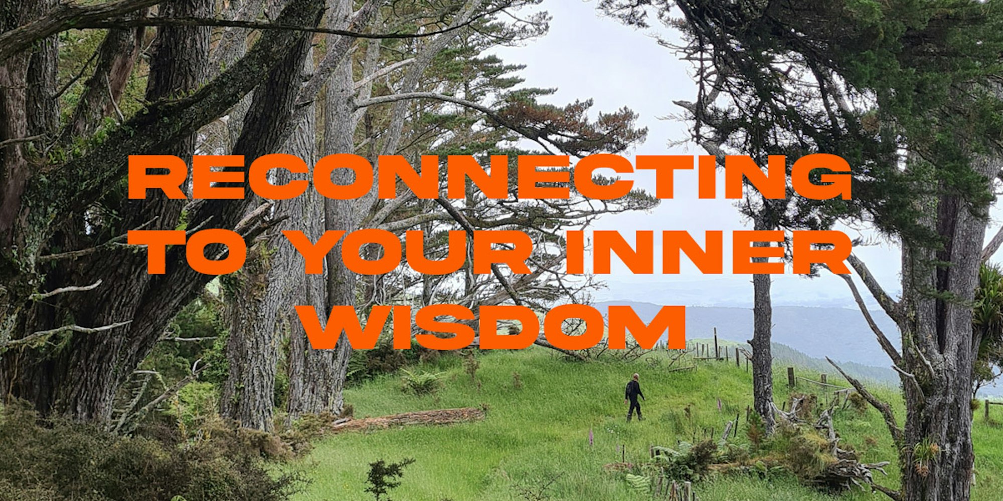 Cover Image for Reconnecting to your inner wisdom 