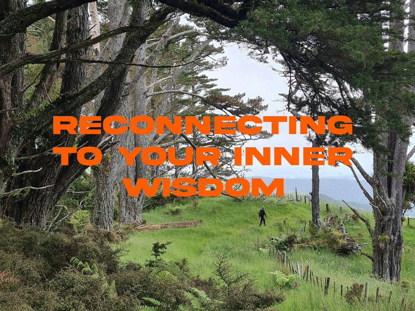 Cover Image for Reconnecting to your inner wisdom 