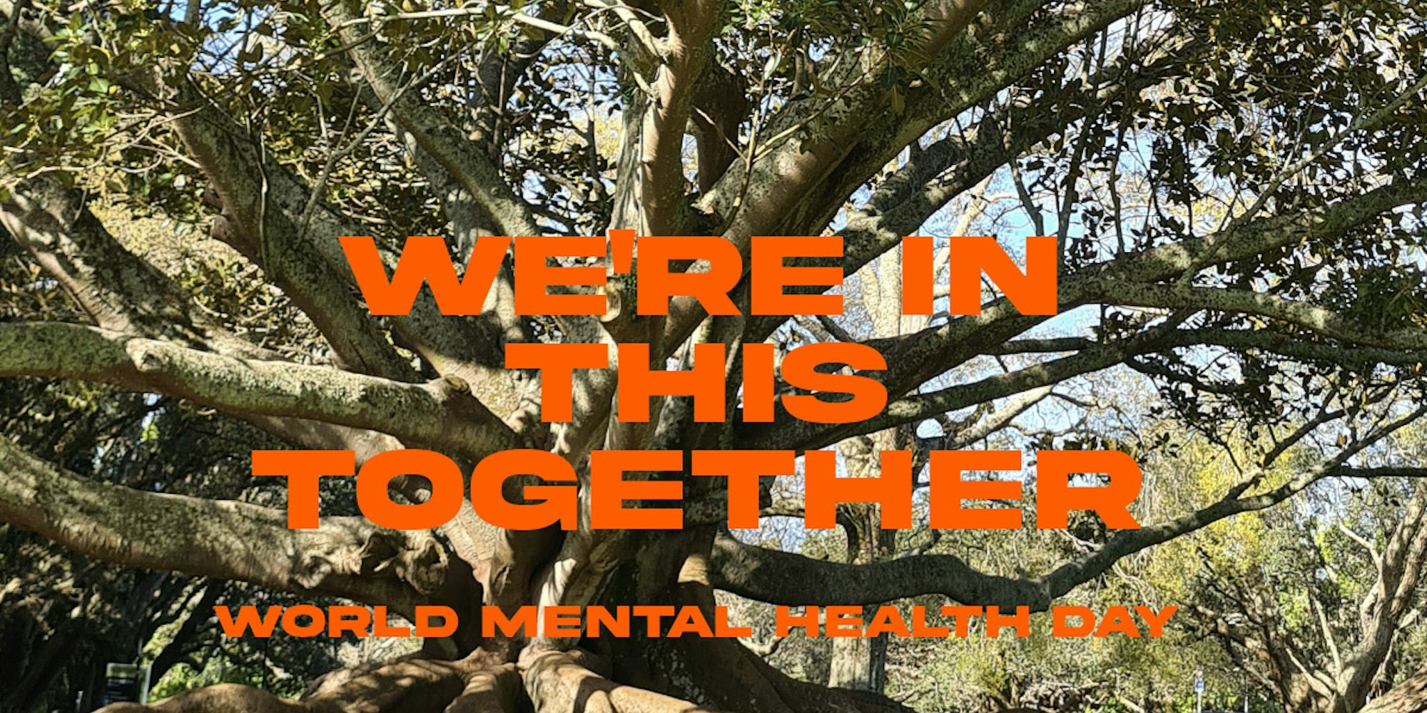 Cover Image for We’re in this together