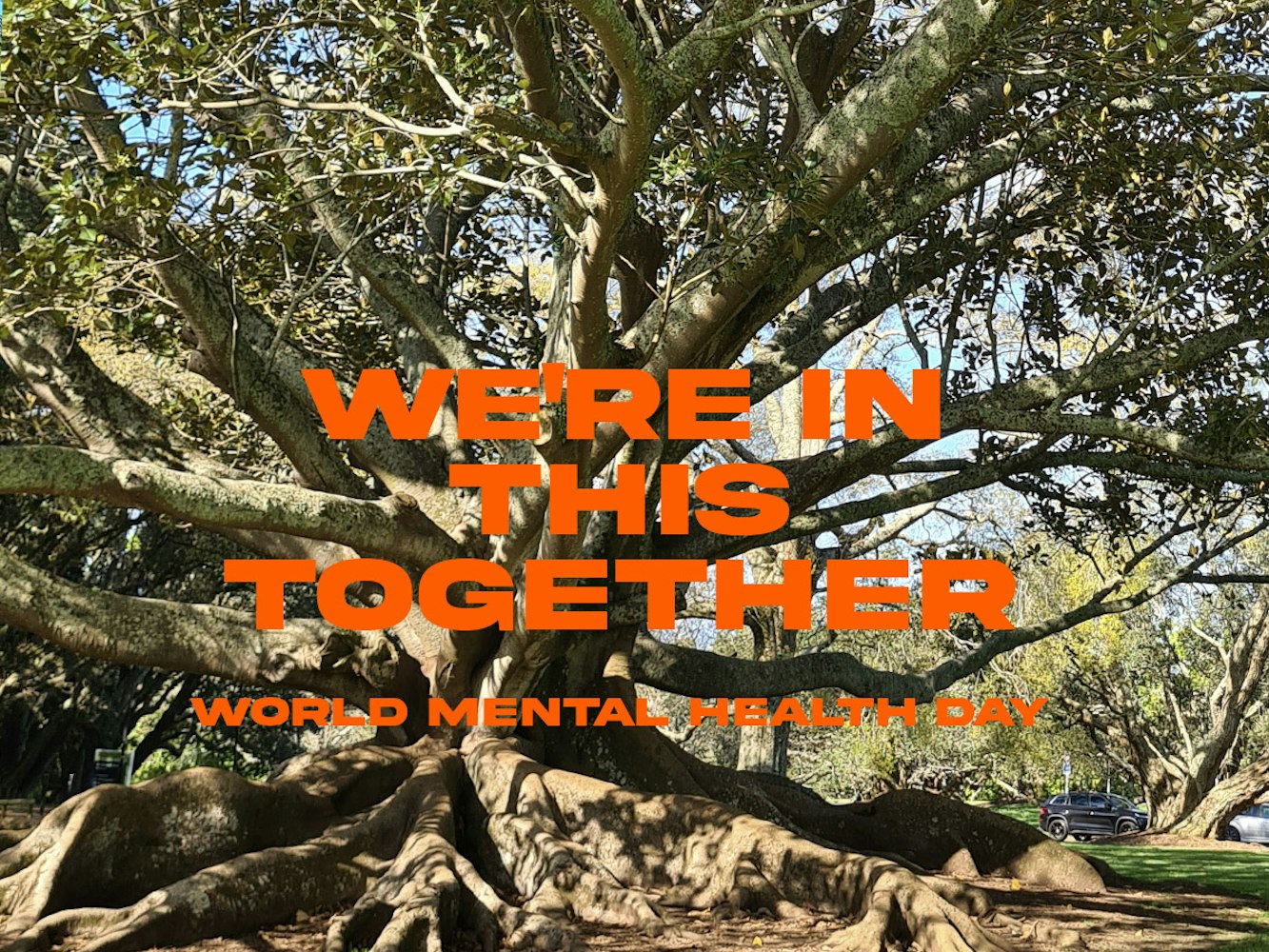 Cover Image for We’re in this together