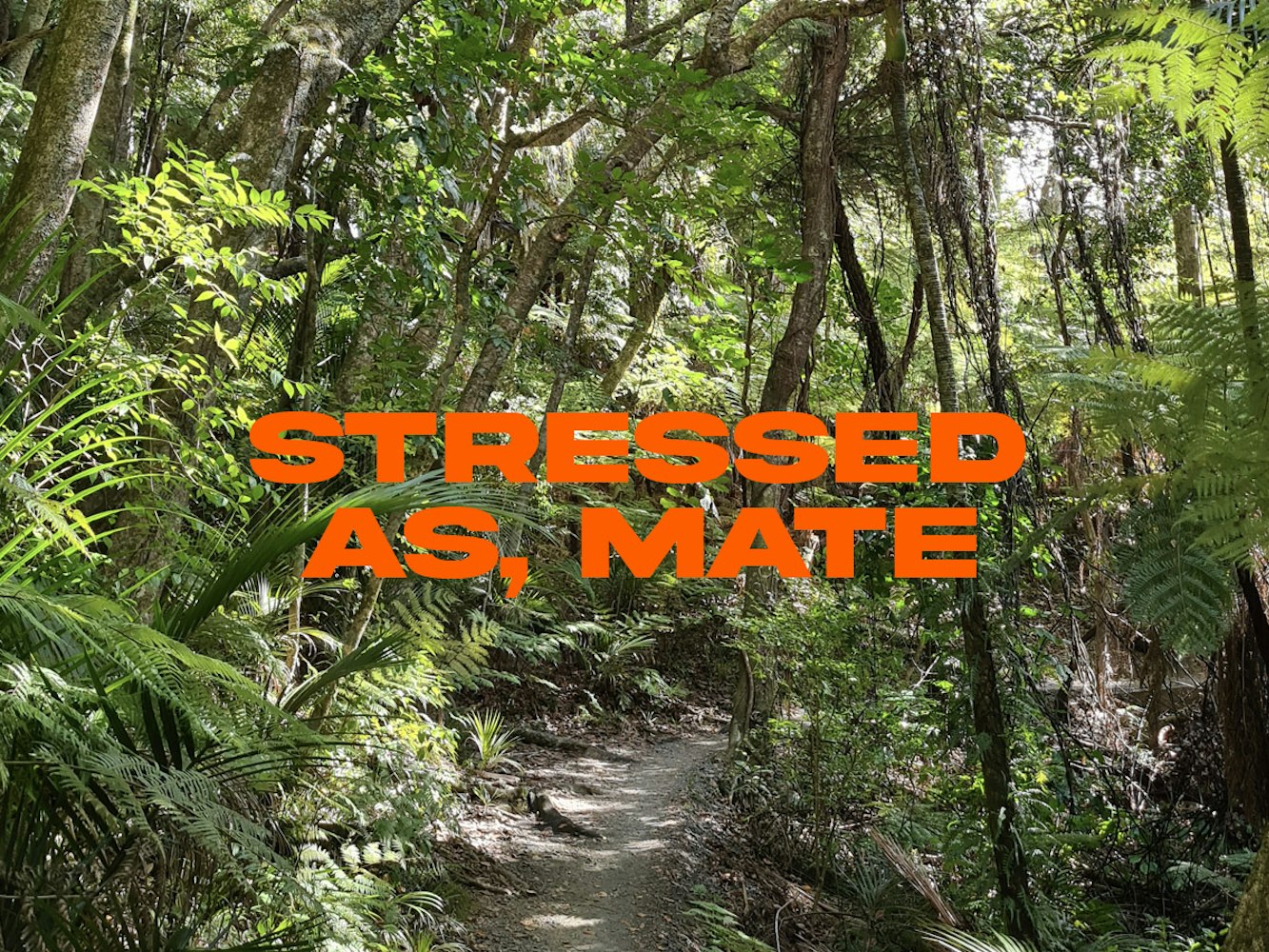 Cover Image for Stressed as, mate