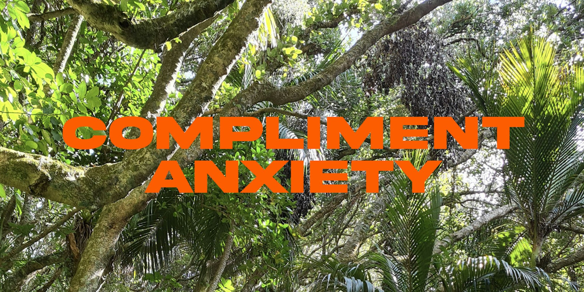 Cover Image for Compliment anxiety