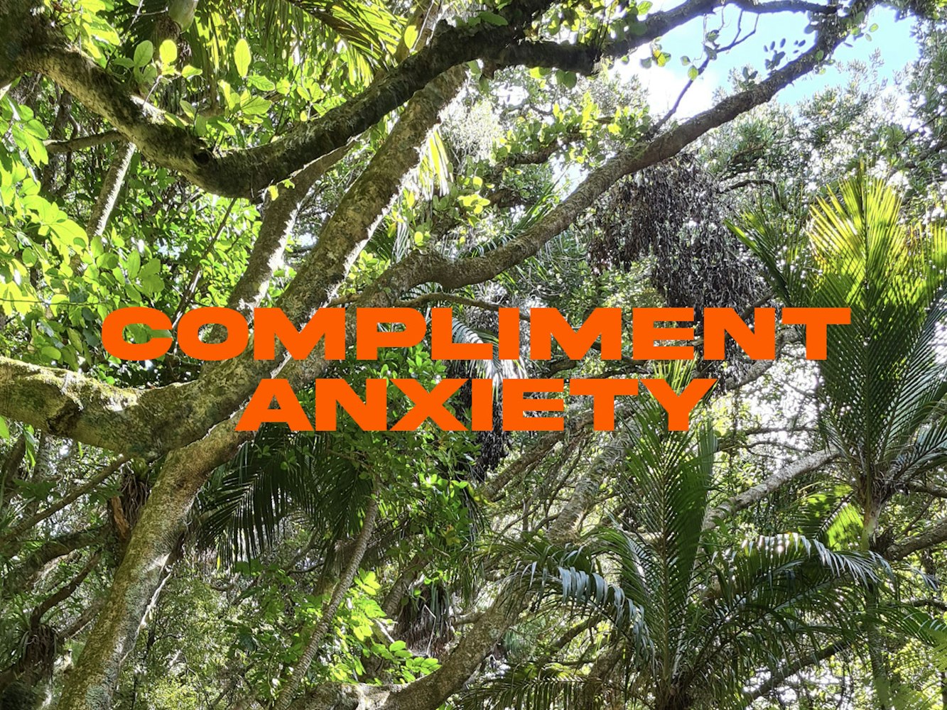 Cover Image for Compliment anxiety