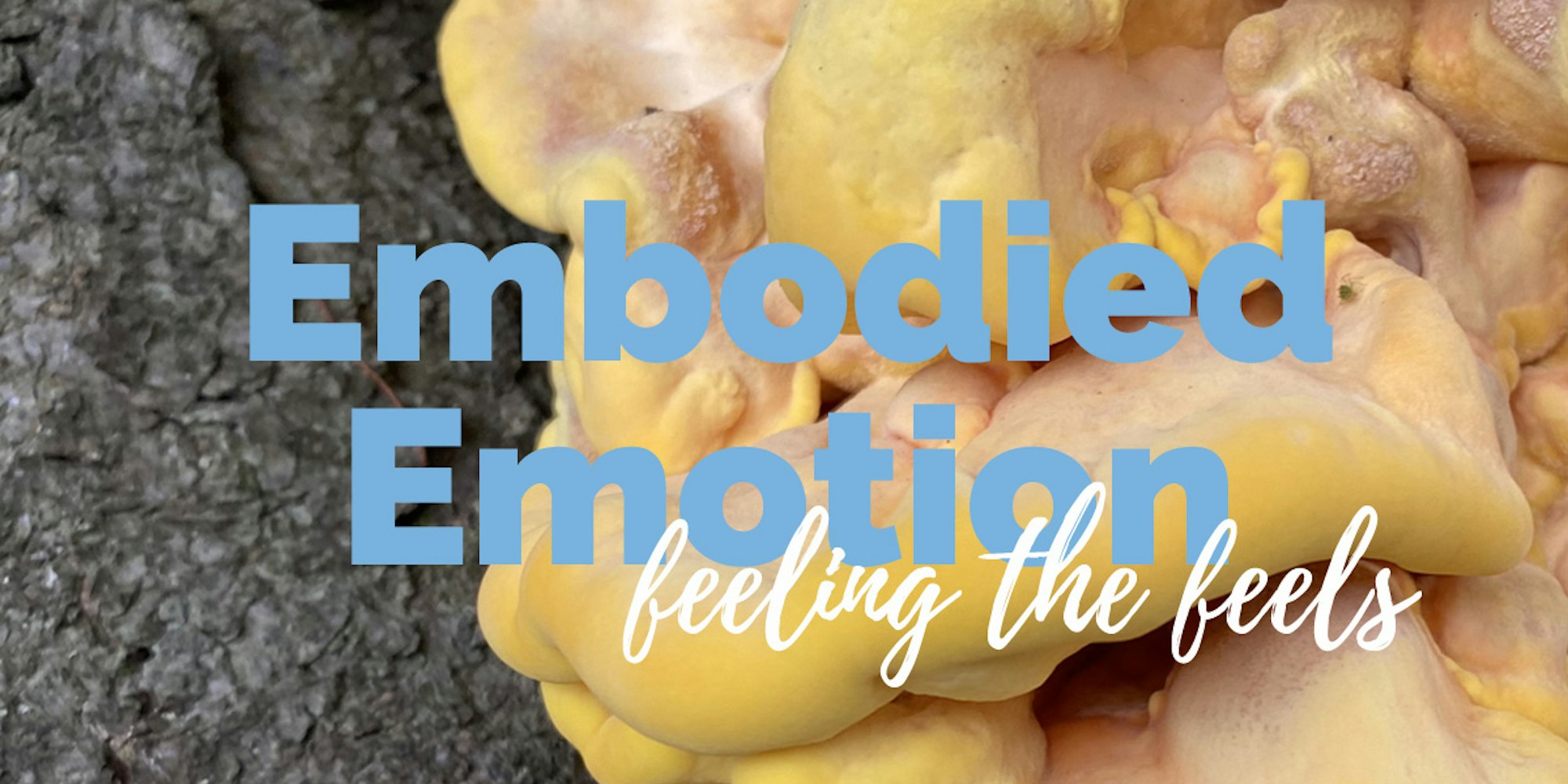 Cover Image for Embodied Emotion