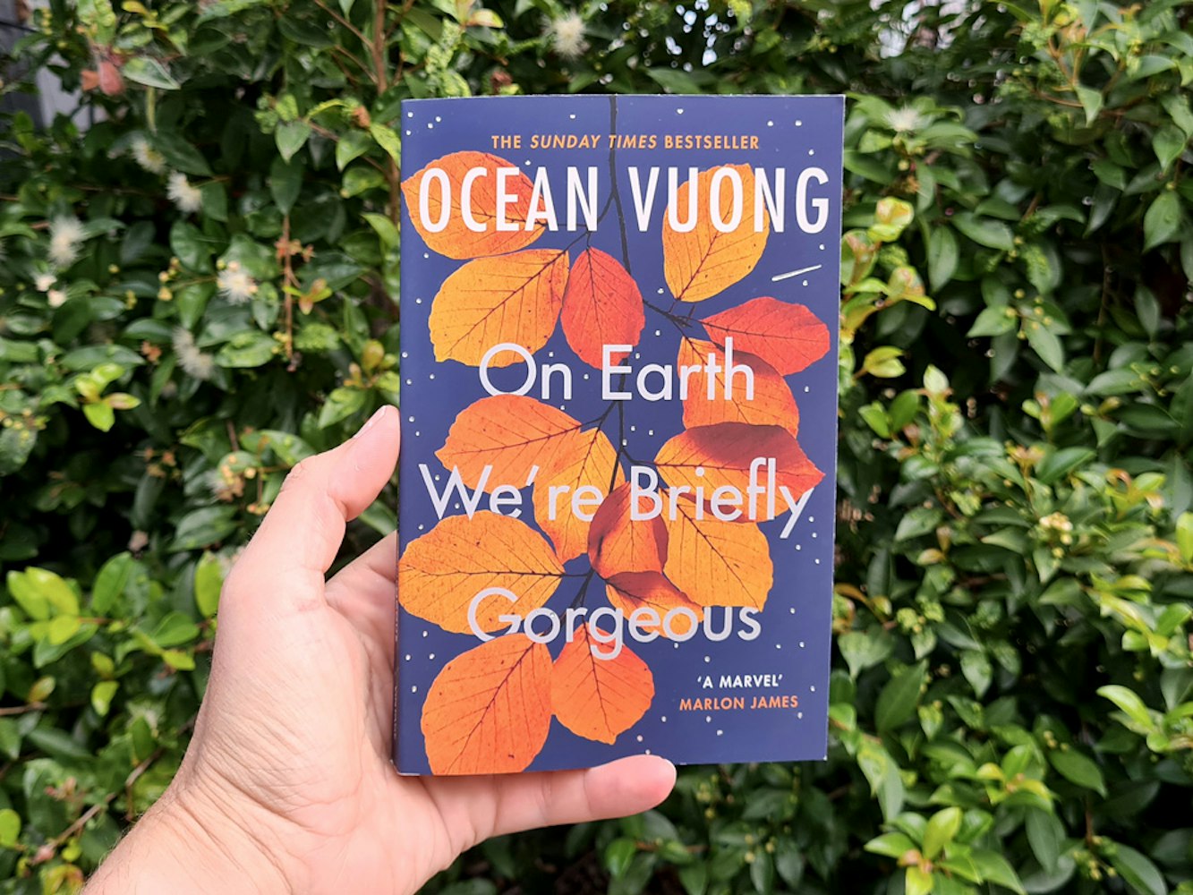 Cover Image for Review: On Earth We’re Briefly Gorgeous by Ocean Vuong