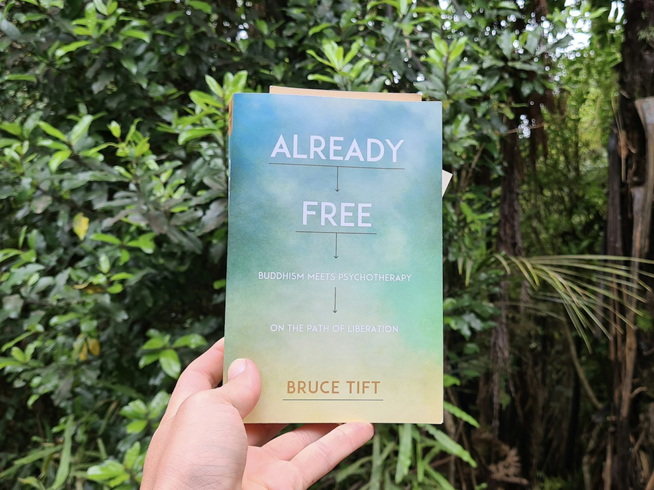 Cover Image for Review: Already Free by Bruce Tift