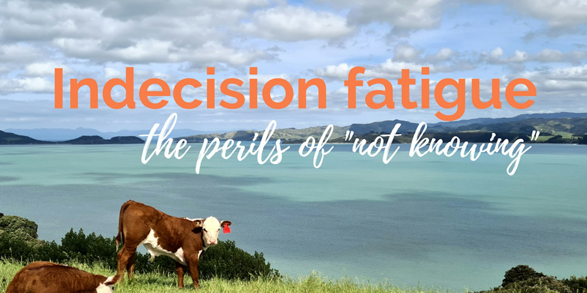Cover Image for Indecision fatigue