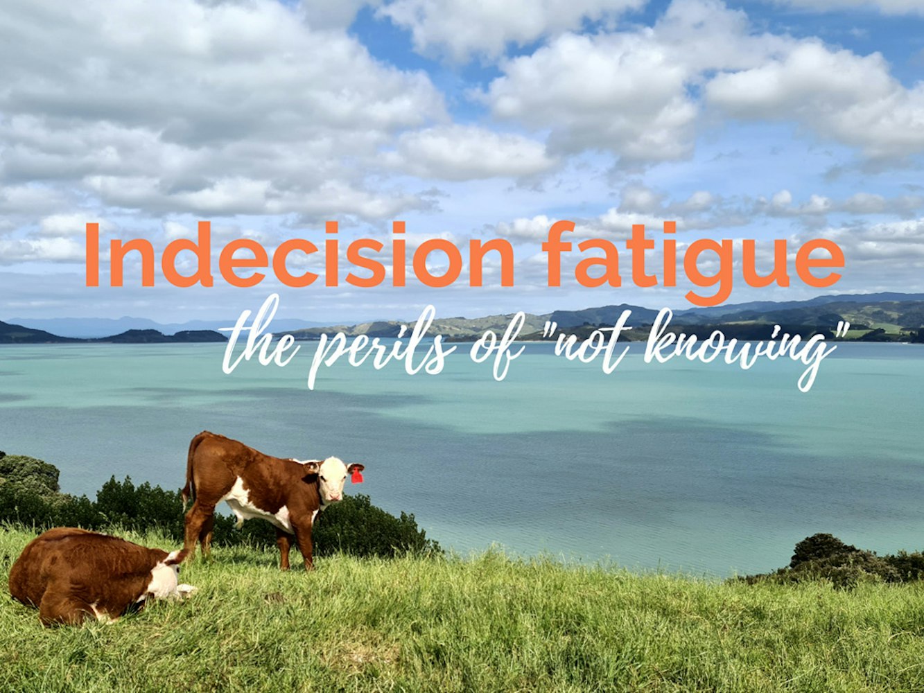 Cover Image for Indecision fatigue