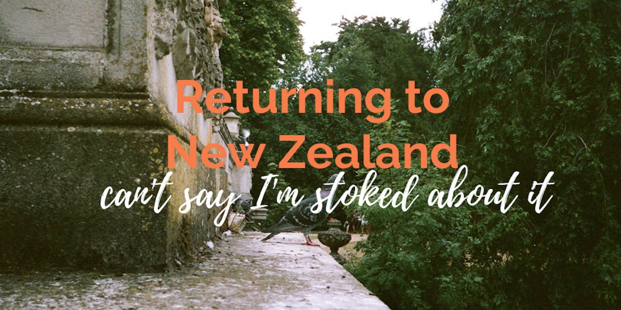 Cover Image for Returning to New Zealand