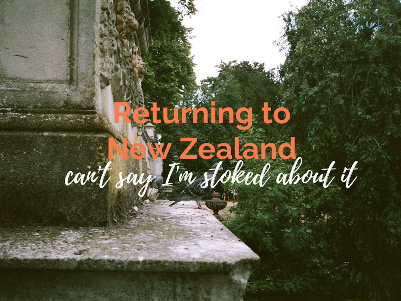 Cover Image for Returning to New Zealand