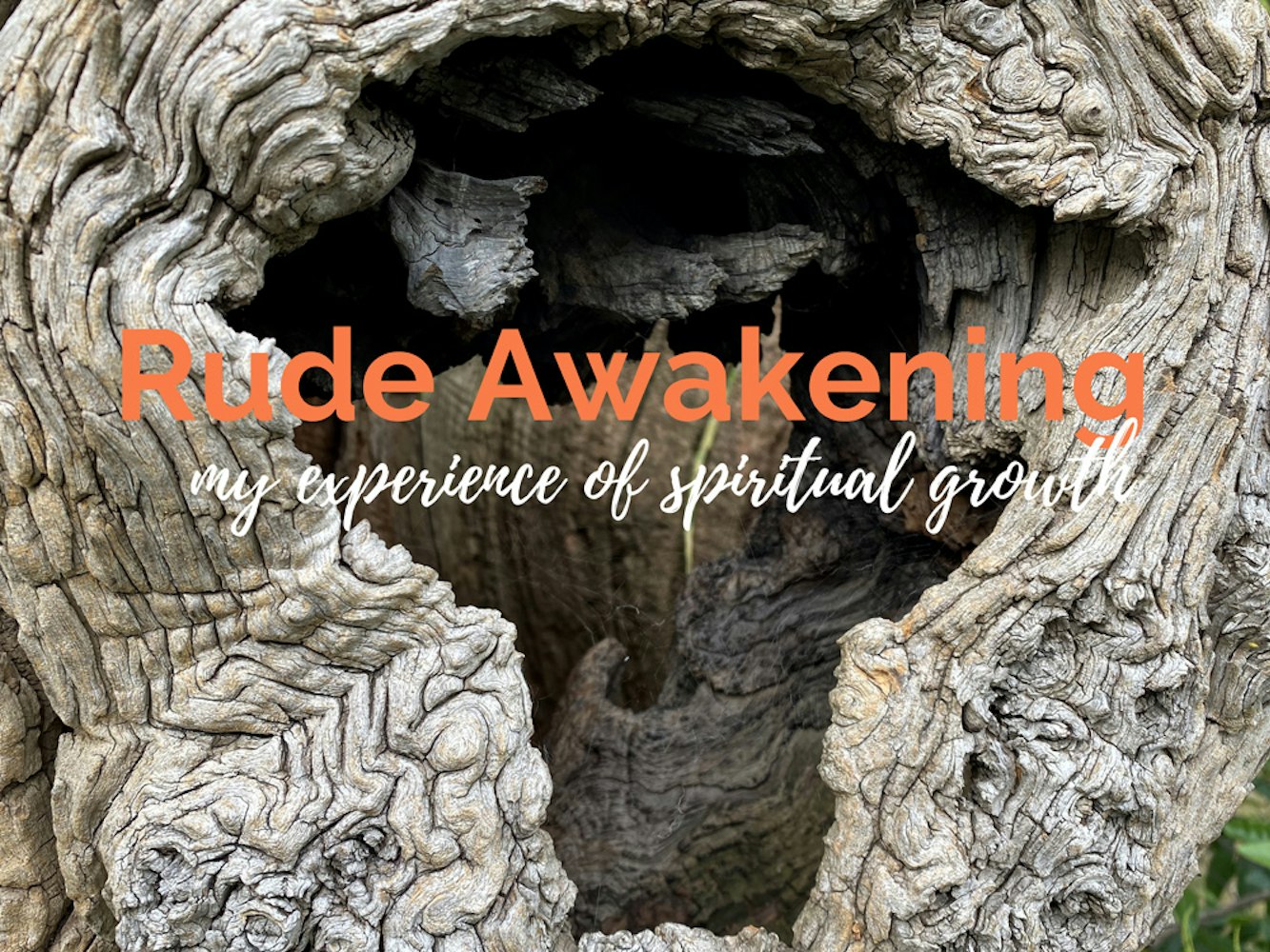 Cover Image for A Rude Awakening