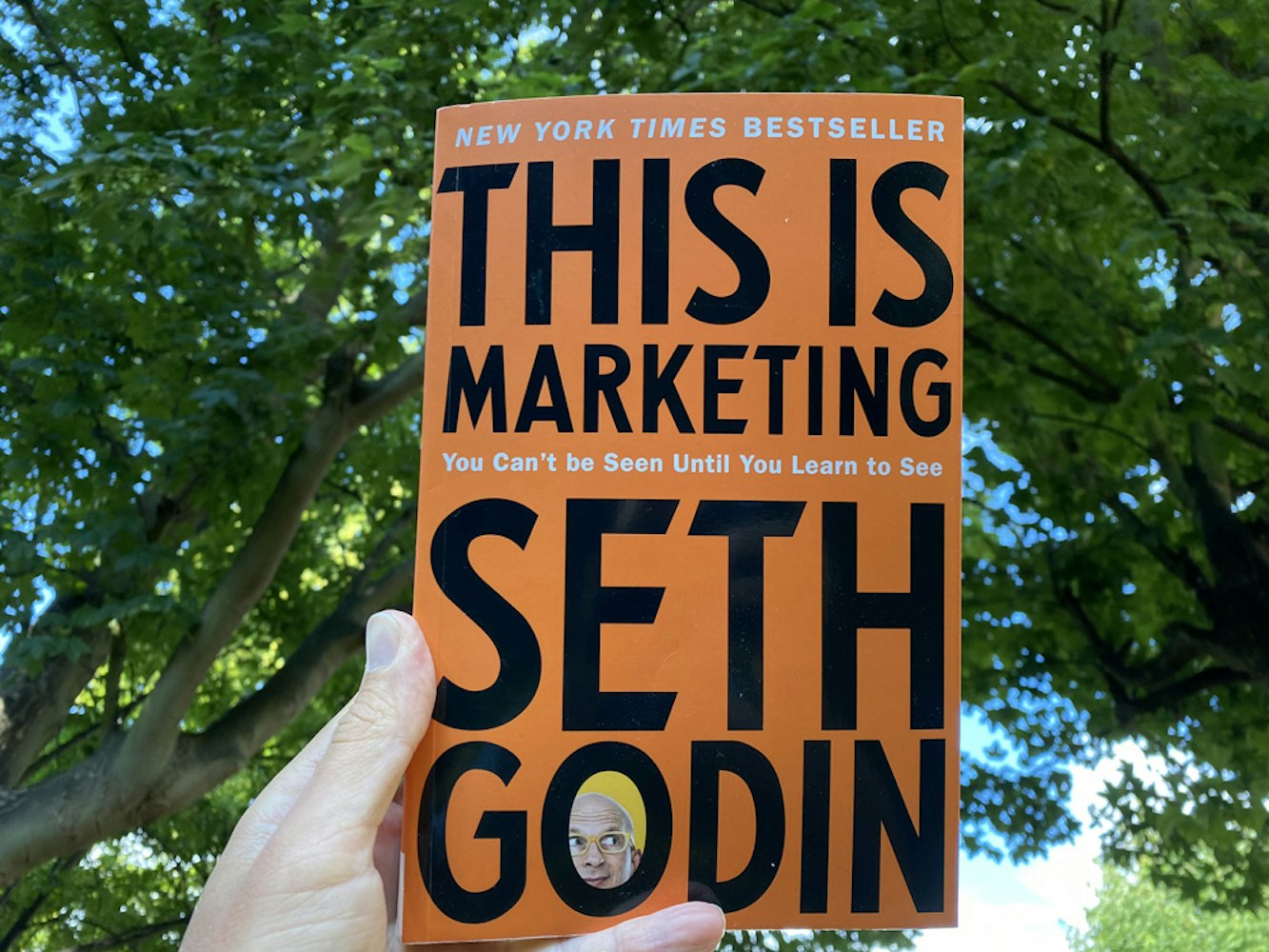 Cover Image for Review: This is Marketing by Seth Godin 