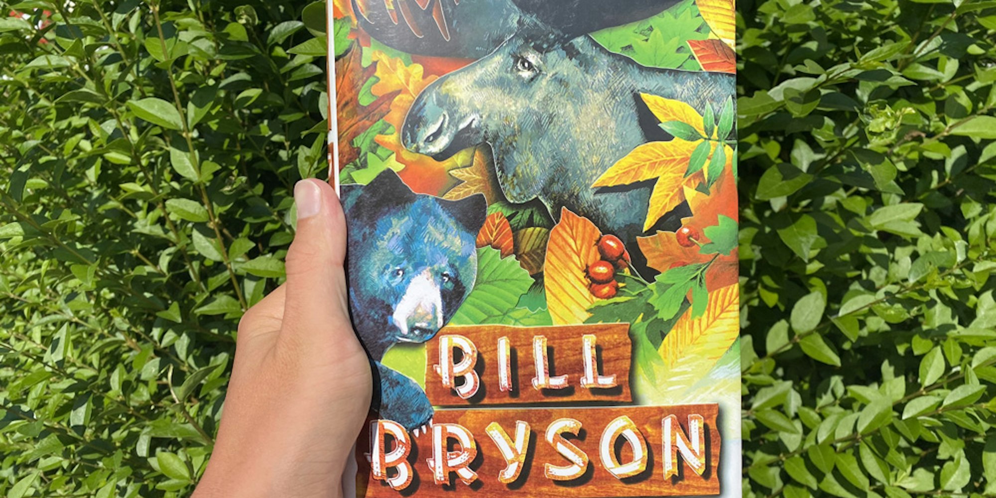 Cover Image for Review: A Walk in the Woods by Bill Bryson 