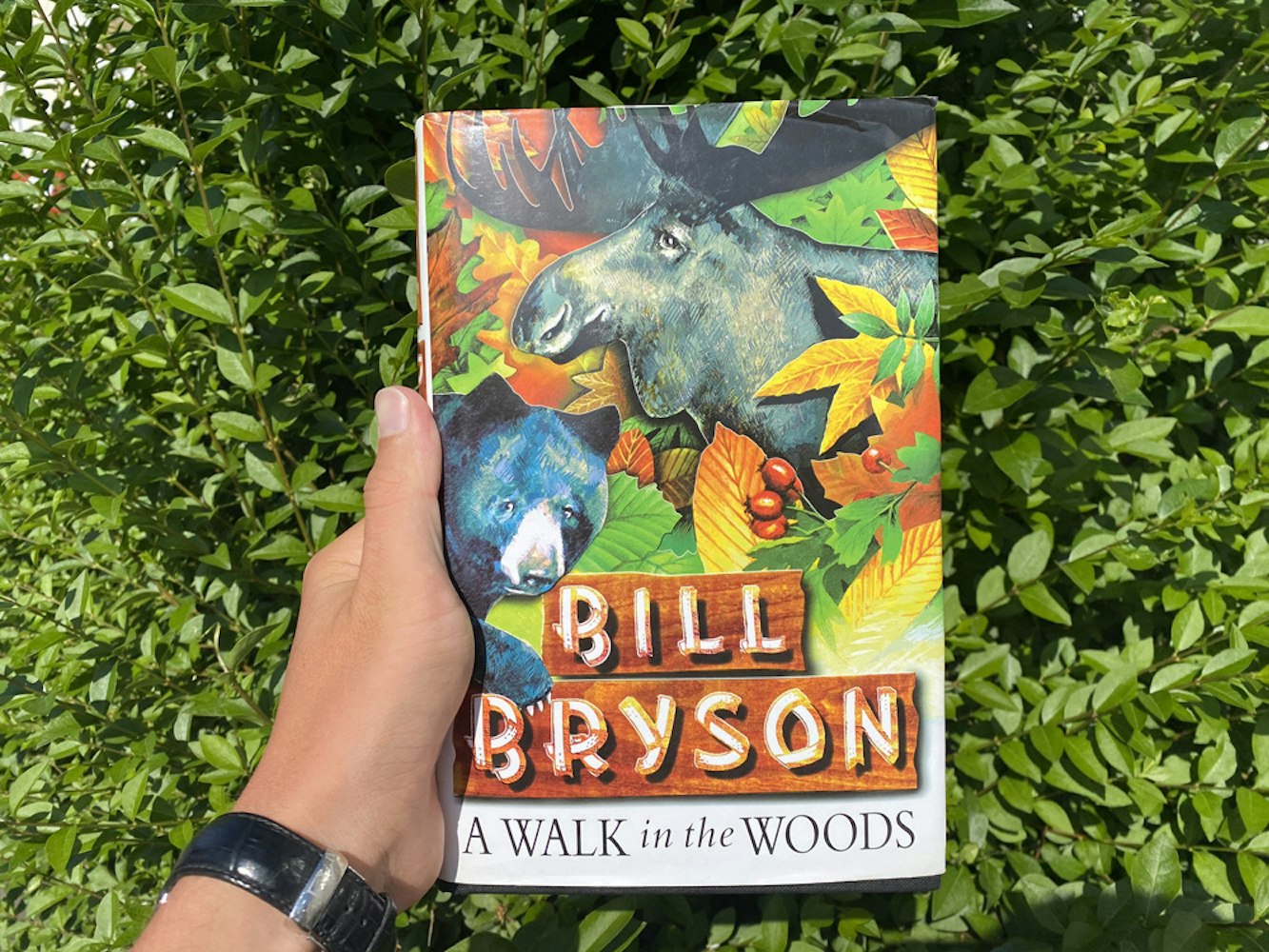 Cover Image for Review: A Walk in the Woods by Bill Bryson 