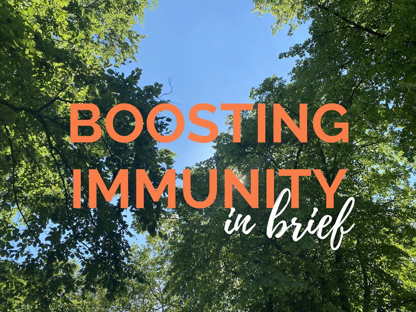 Cover Image for Boosting immunity in brief 
