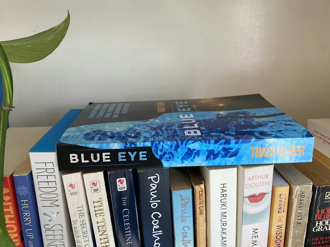 Cover Image for Review: Blue Eye by Tracy Elner
