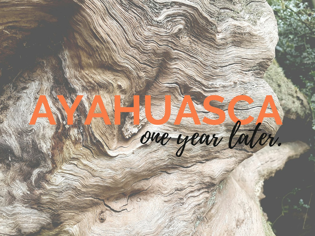 Cover Image for Ayahuasca – A reflection, one year later 