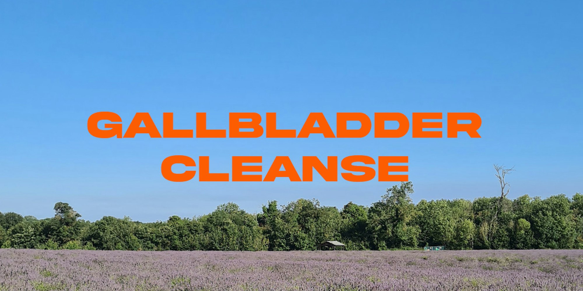 Cover Image for Gallbladder Cleanse