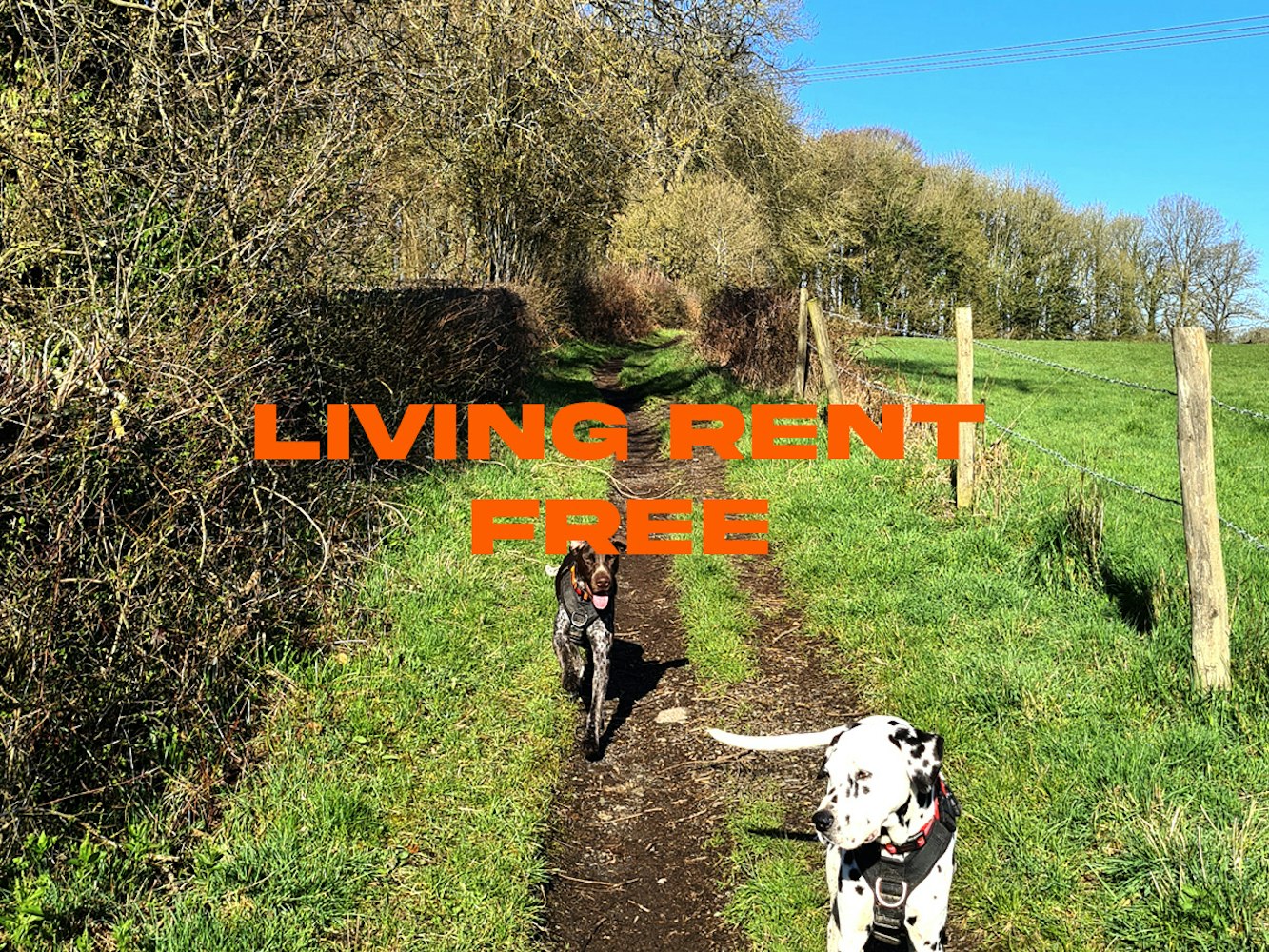 Cover Image for Living rent free. My experience house sitting.