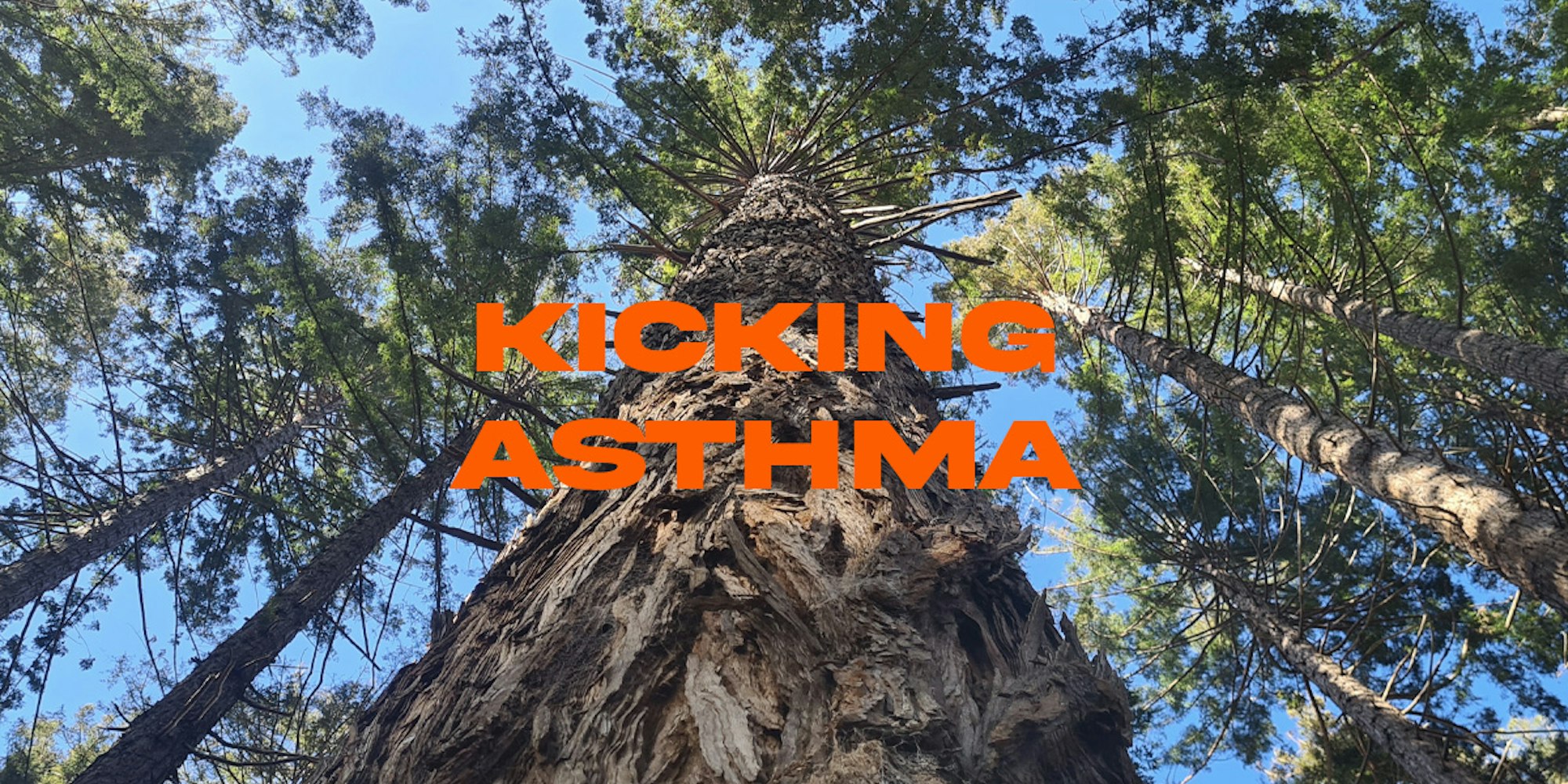 Cover Image for Kicking Asthma 