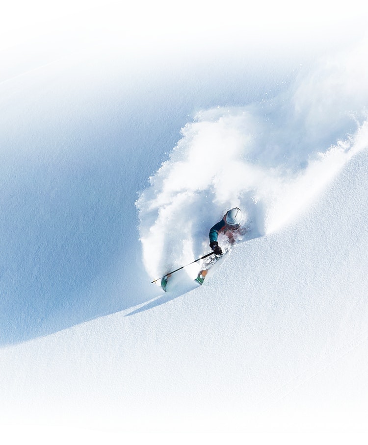 Skialper Buyer's guide logo