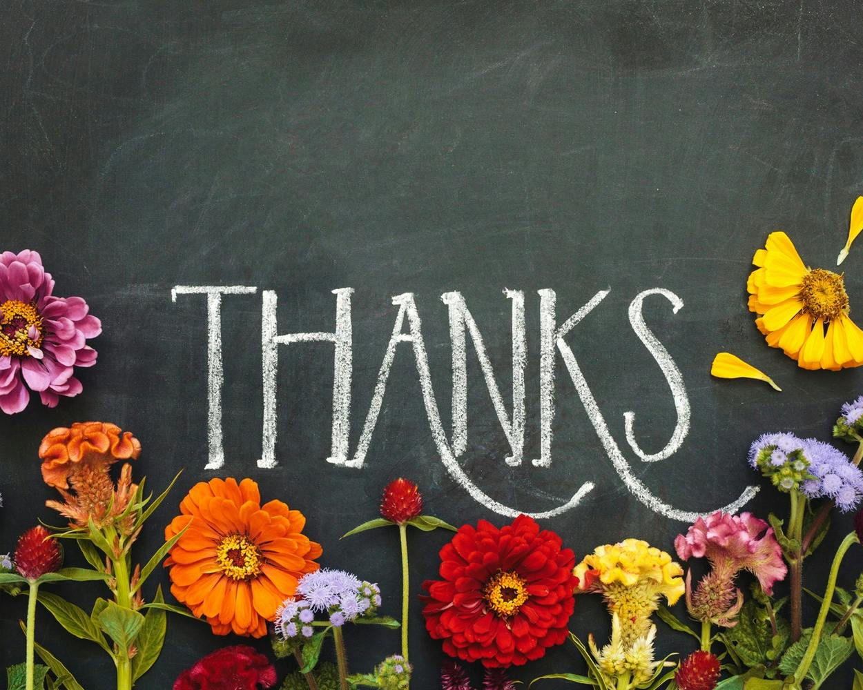 Una lavagna con la scritta "THANKS" circondata da vivaci fiori di diversi colori, tra cui arancione, rosso, viola e giallo, formando una cornice naturale e colorata.