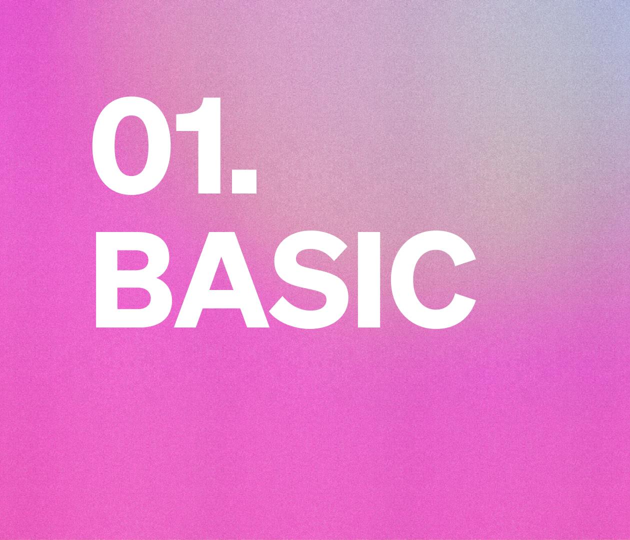 01.  Basic