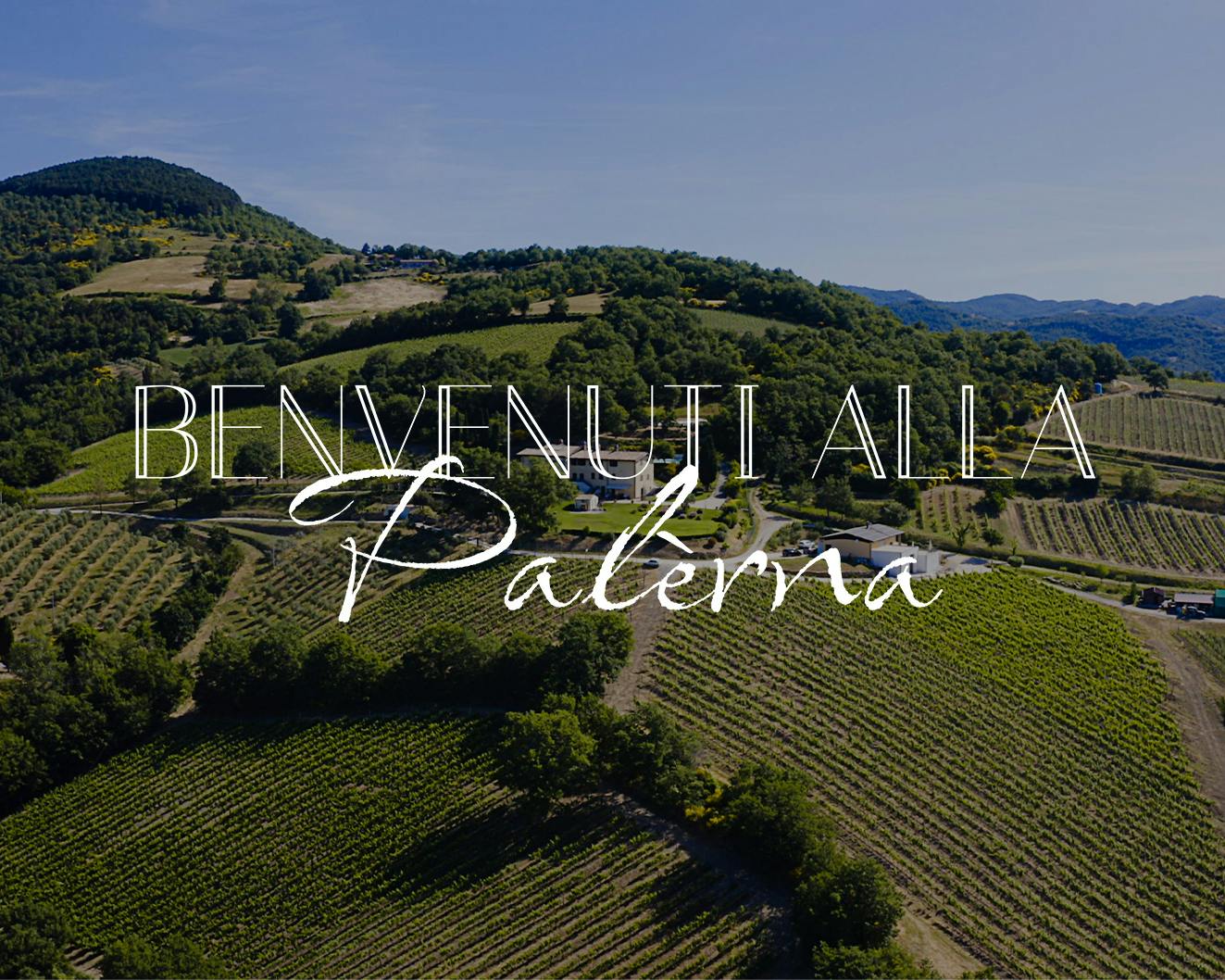 cover portfolio La Palerna Cover scheda portfolio La Palerna che mostra la scritta della homepage e come sfondo la tenuta