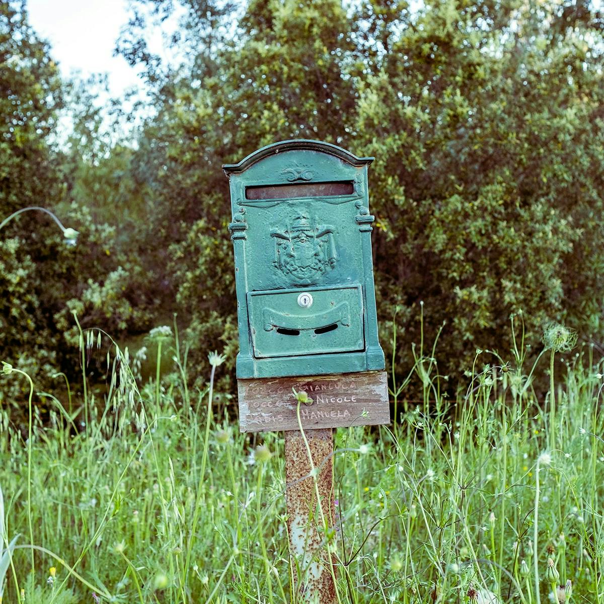 Una vecchia cassetta postale verde, arrugginita e vintage, si erge tra l'erba alta in un campo rurale, circondata da alberi rigogliosi sullo sfondo.