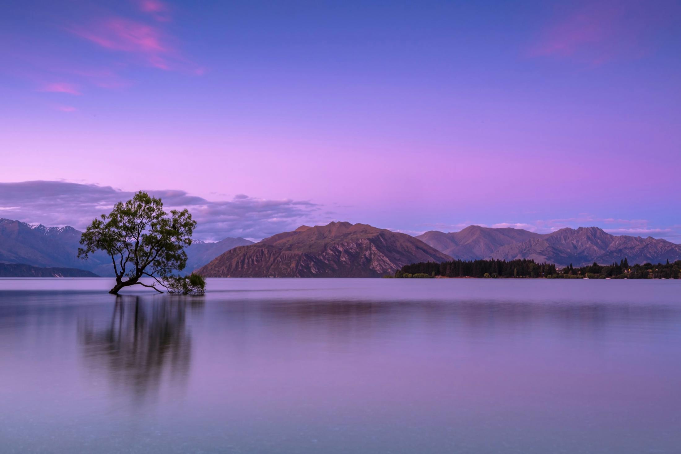 Purple hue over water and mountains