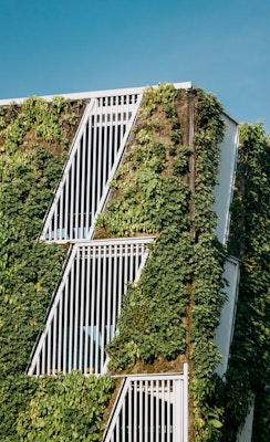 La transizione verso un territorio carbon neutral