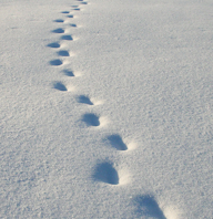 Det vandrende menneske Plakat for Det vandrende menneske