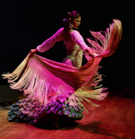 Flamenco de Sevilla Plakat for Flamenco de Sevilla