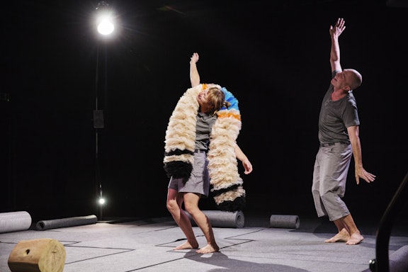 Hvad er det? Plakat for Hvad er det?