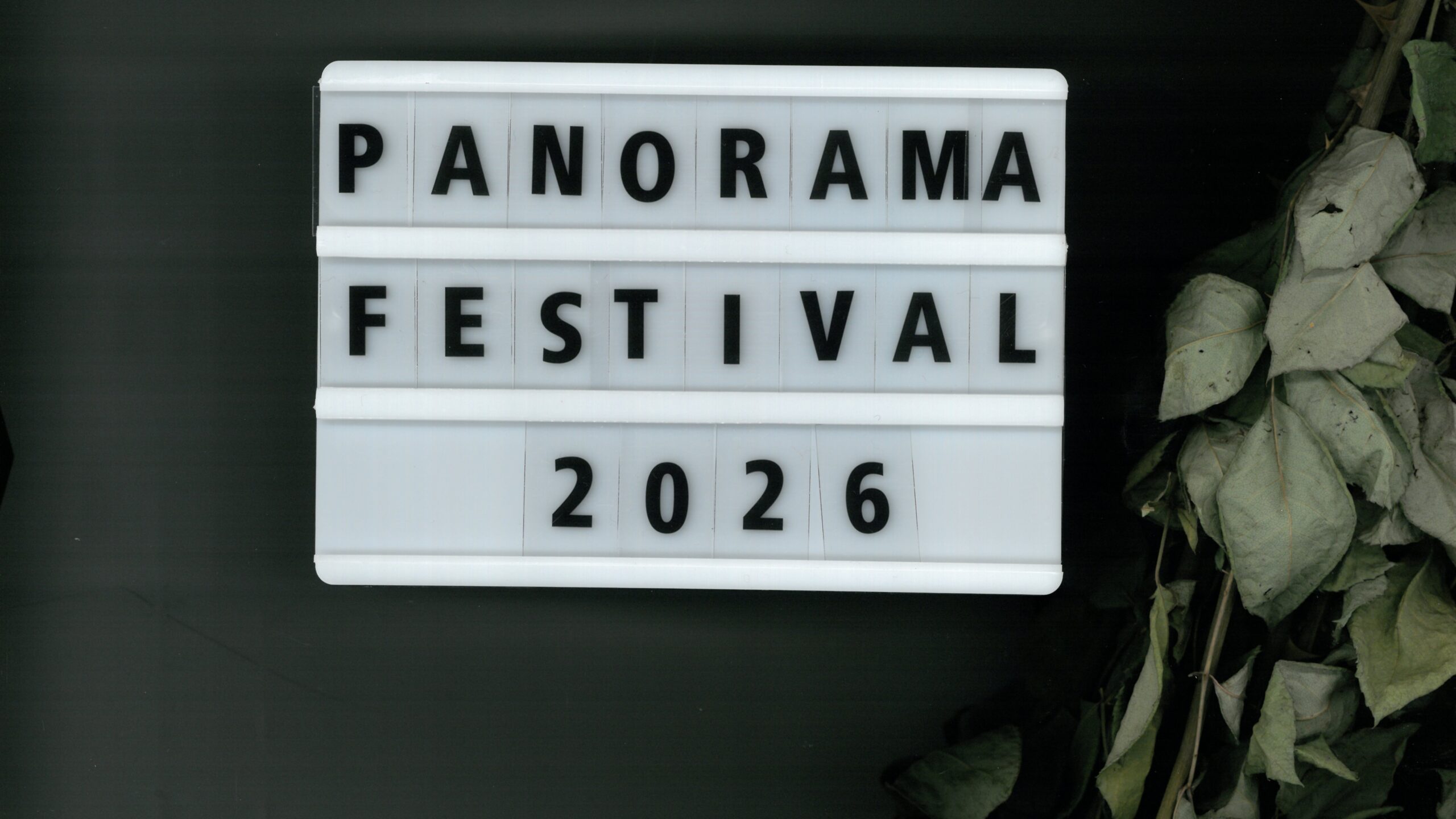 Plakat for Panorama Festival: The Screaming Club #2