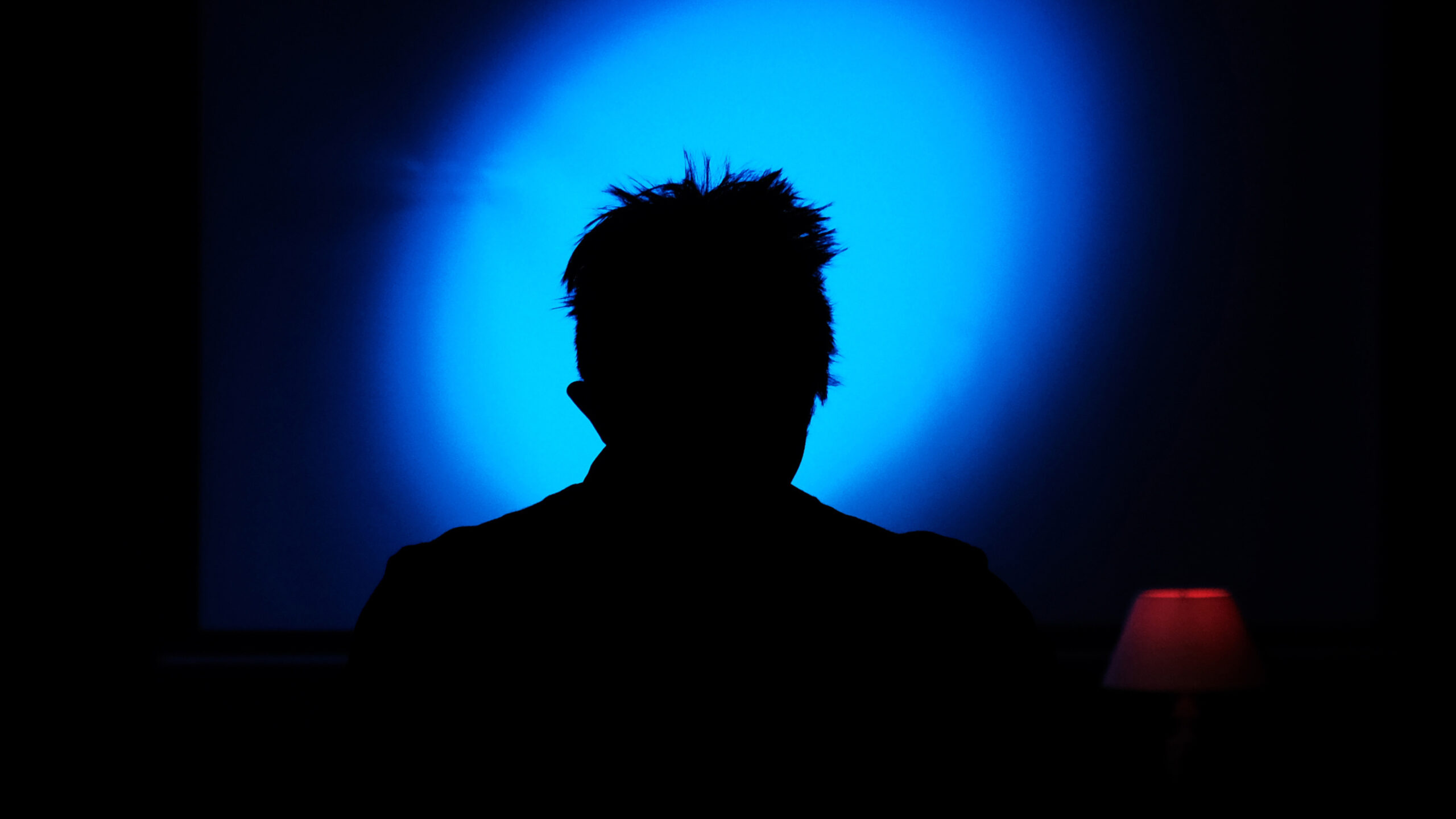 Plakat for Countermeasures: Beyond Quantization