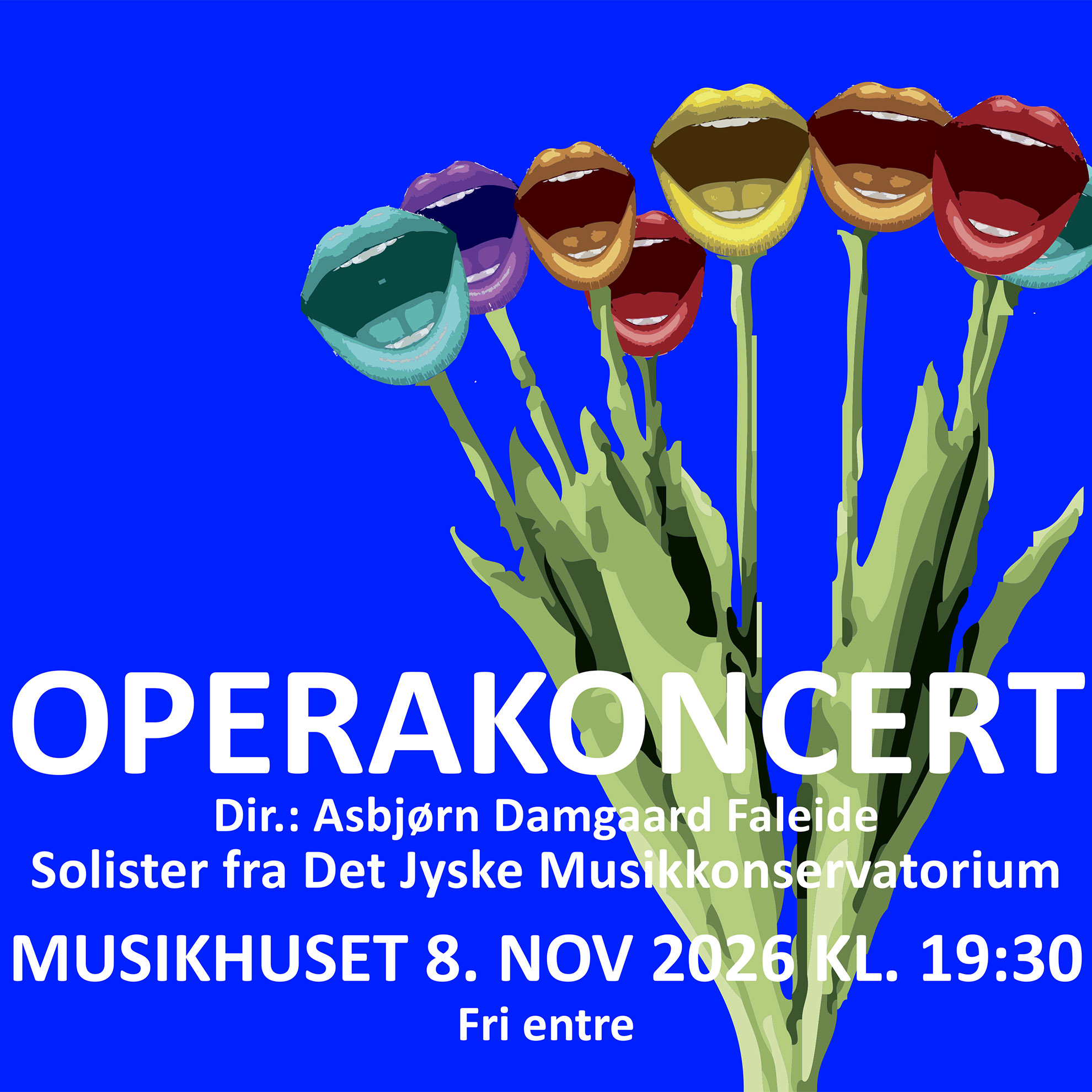 Plakat for Operakoncert