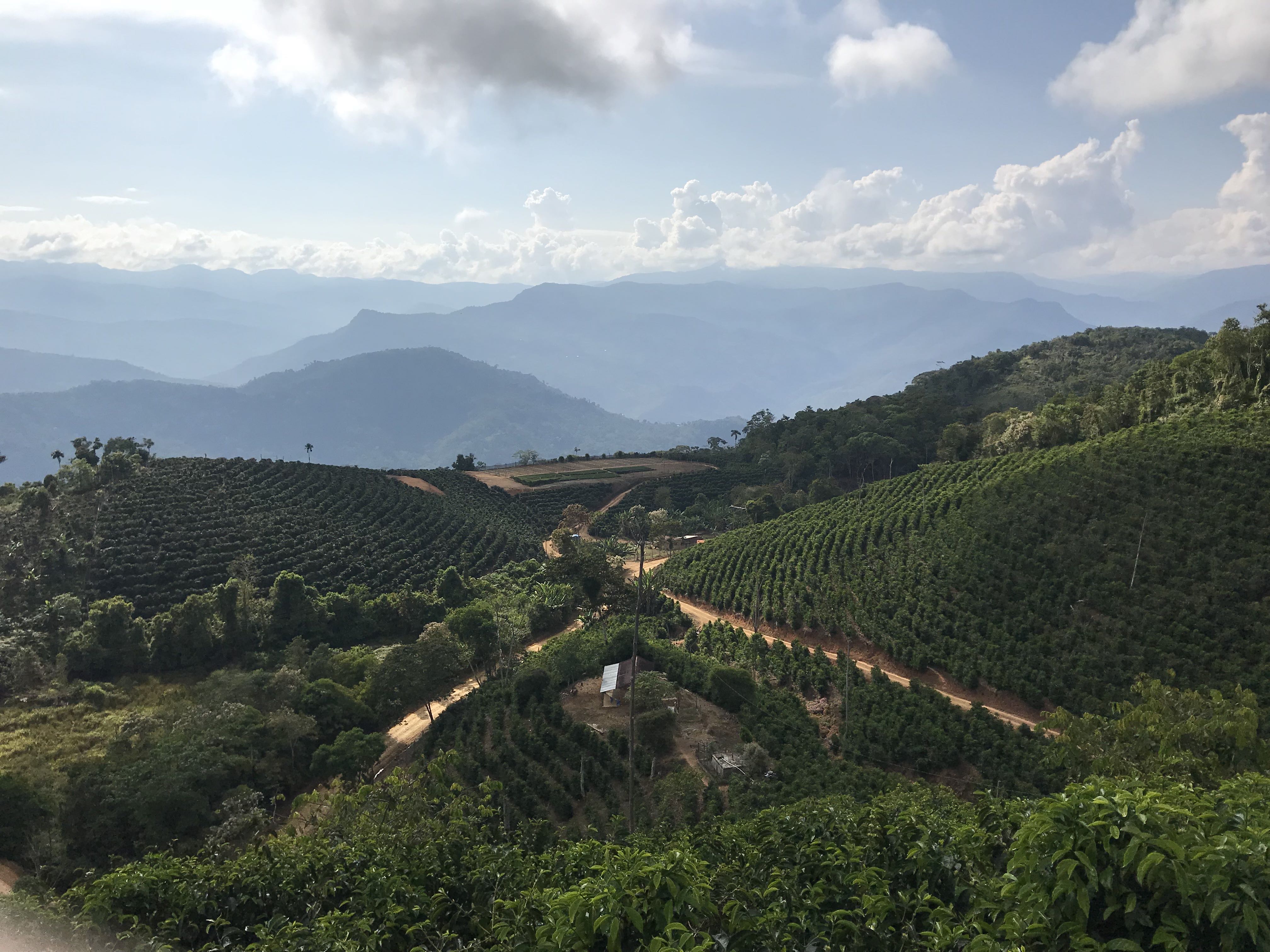 Visiting Fincas Los Rodriguez in Bolivia, 2019