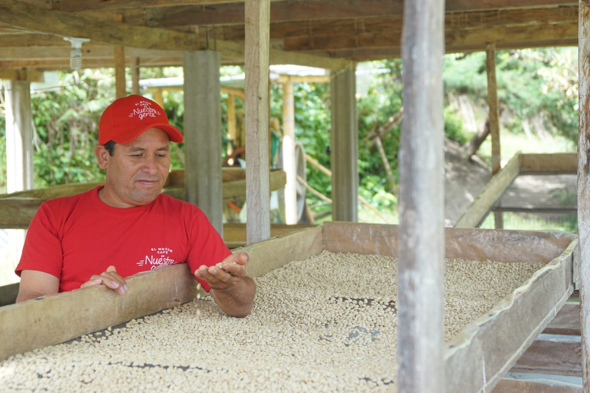 Duver Rojas checking on the drying beds.