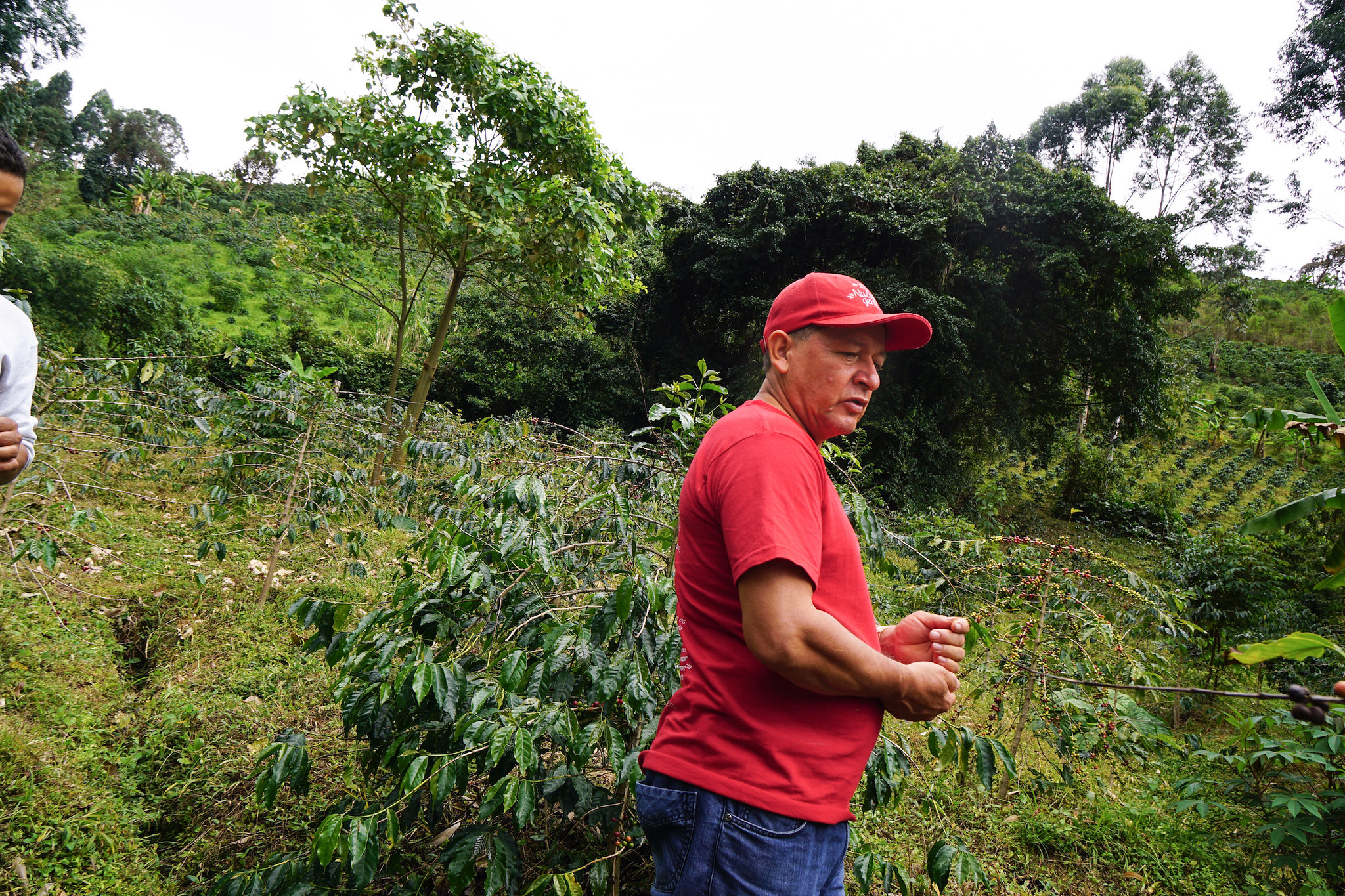 Jaime Casallas in his fields