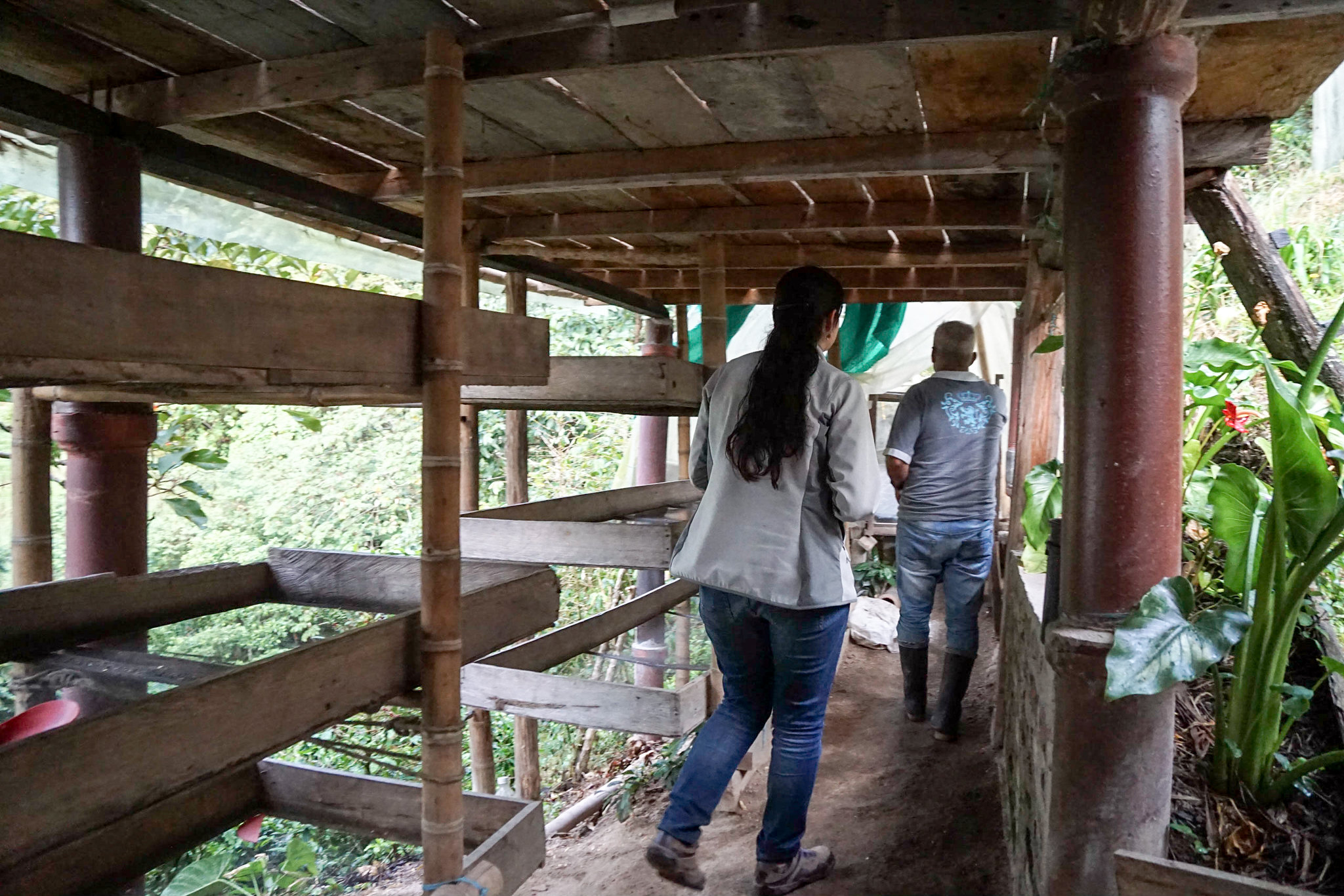 José Ignacio Pardo Torres showing us around in the tight space on the mountain slope under the drying space.