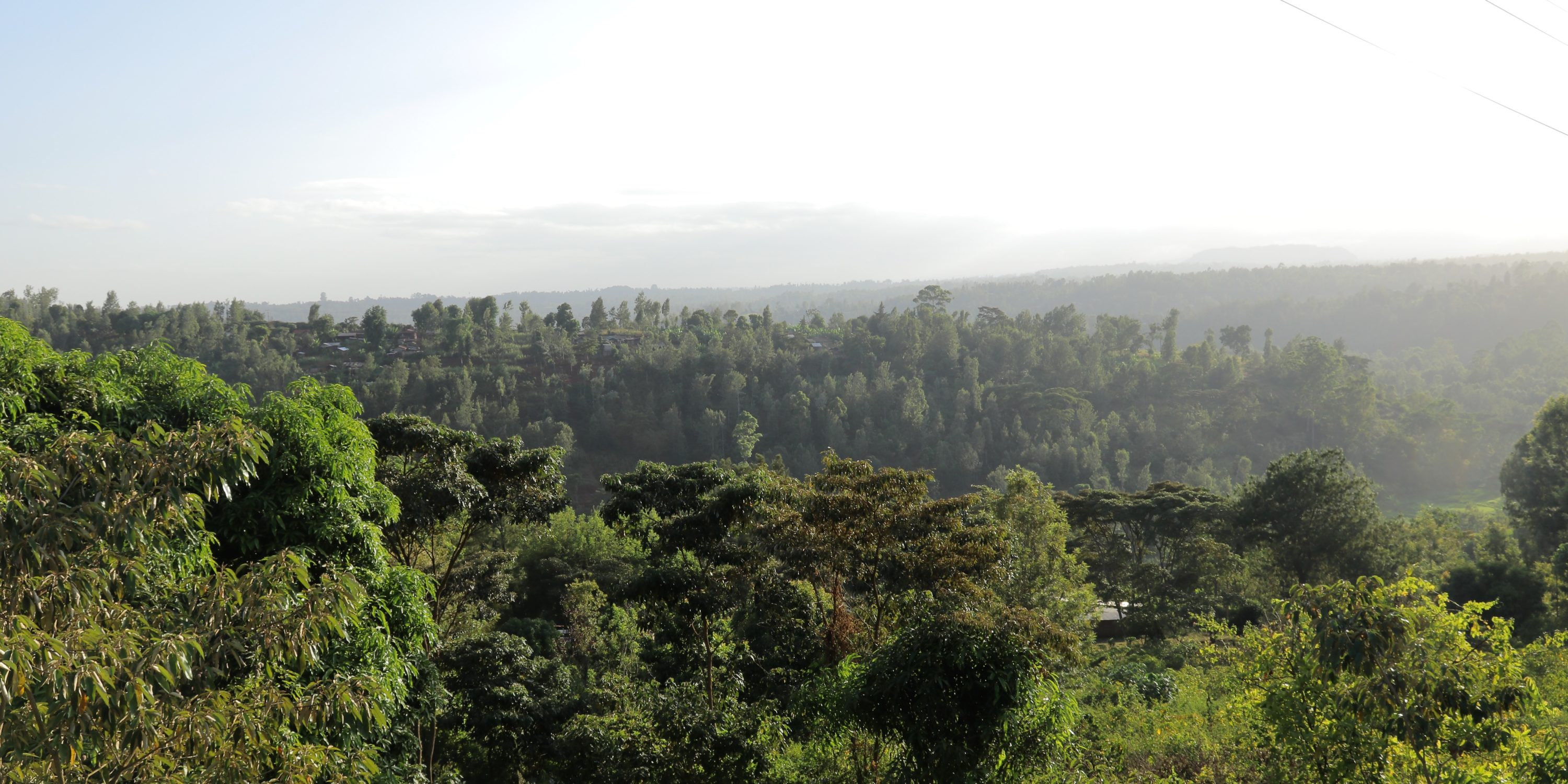 Kenyan landscape